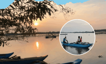 Paseo en barco para observar a los elefantes cerca de Polonnaruwa