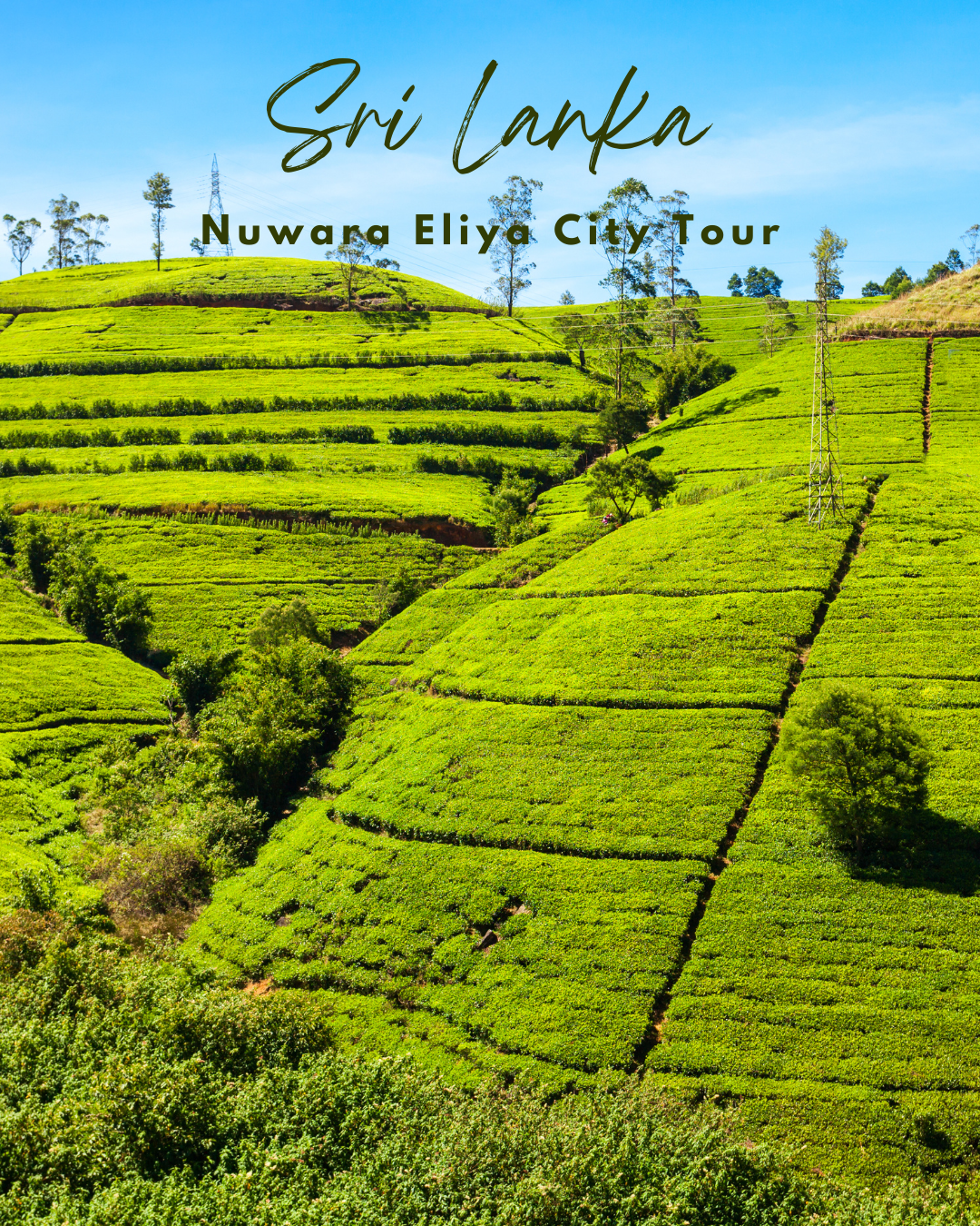 City-Tour-Nuwara-Eliya