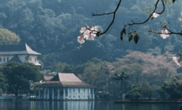Visita guiada por la ciudad de Kandy