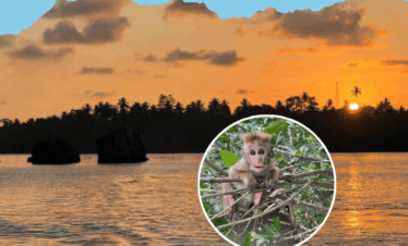 Koggala Bota Trip