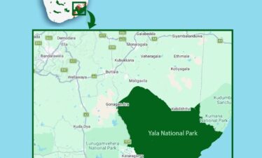 yala National prak Map