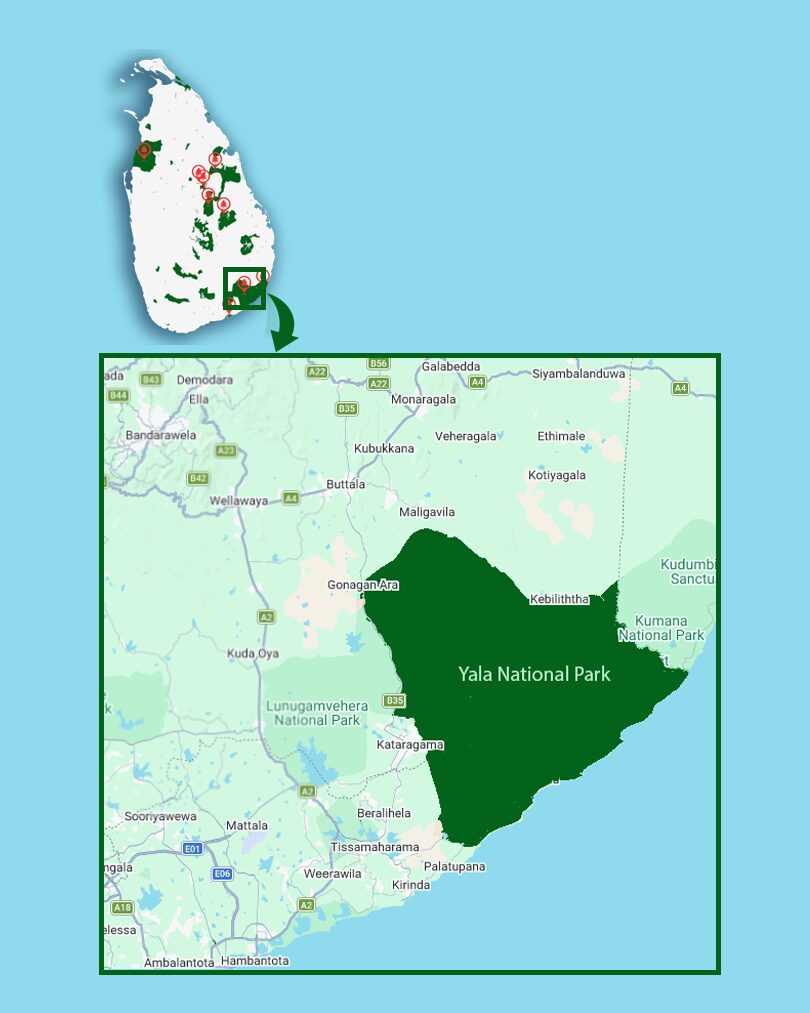 yala National prak Map