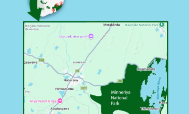 minneriya national park map