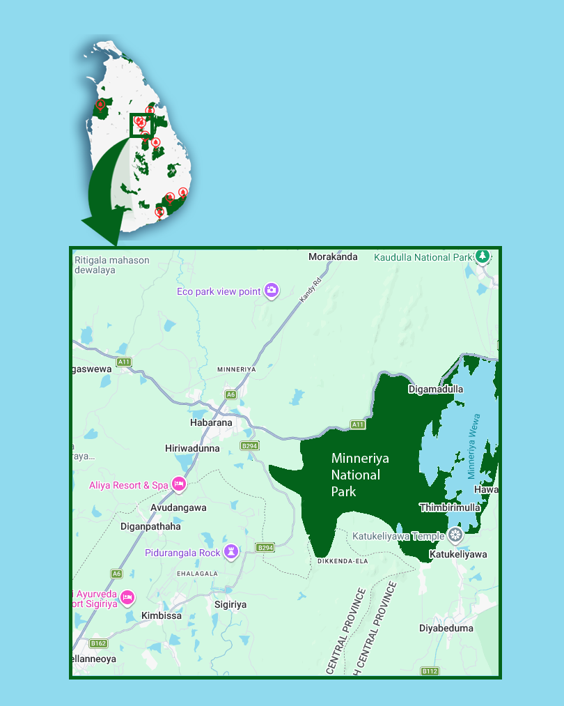 minneriya national park map