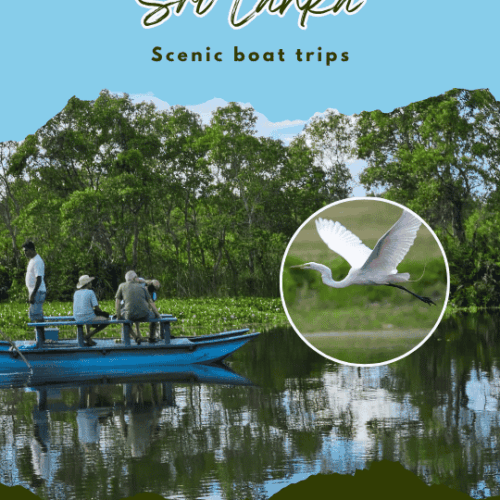 Paseos panorámicos en barco por naturaleza